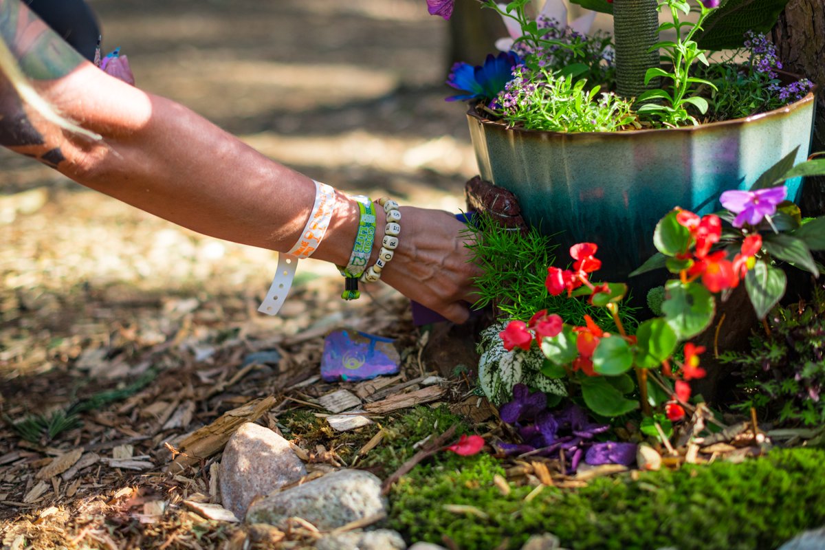 Electric Forest ⚡🌲 on Twitter "Wristbands are automatically mailed to