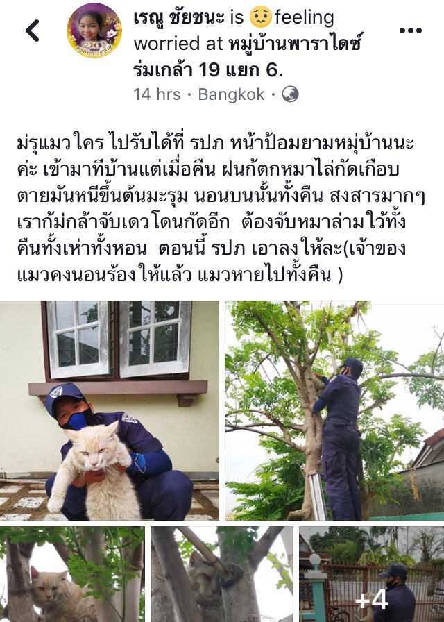 ไอเลิฟหนมแงวเลีย tweet media