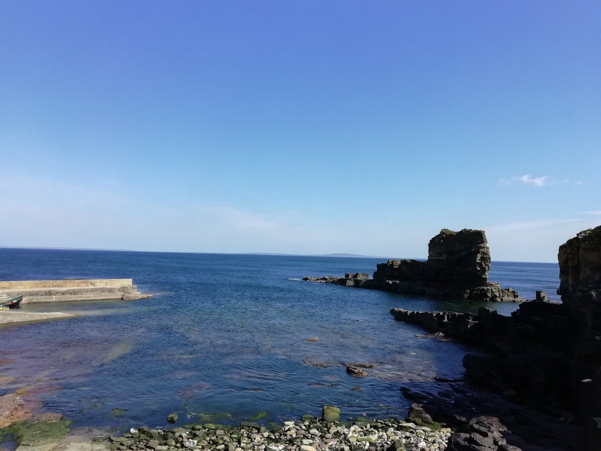 Veronica O'Donnell tweet media