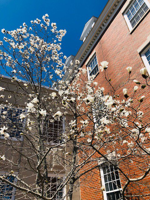 StFX University Housing tweet media