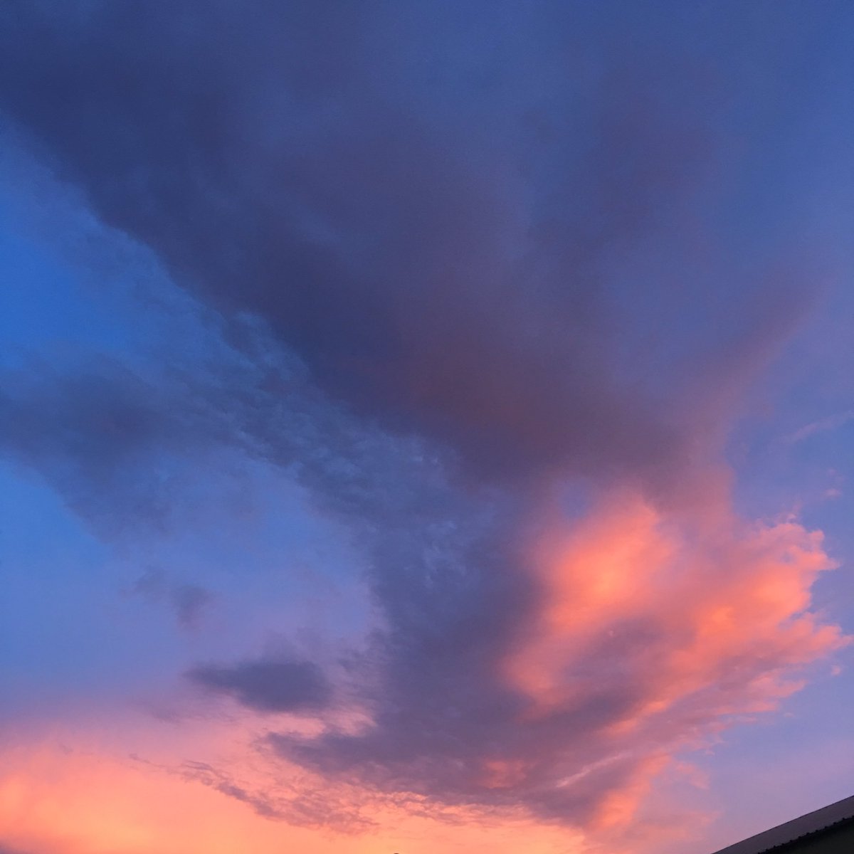 𝐯𝐞𝐜𝐞 📷 𝐟𝐭. バカ。 tweet media