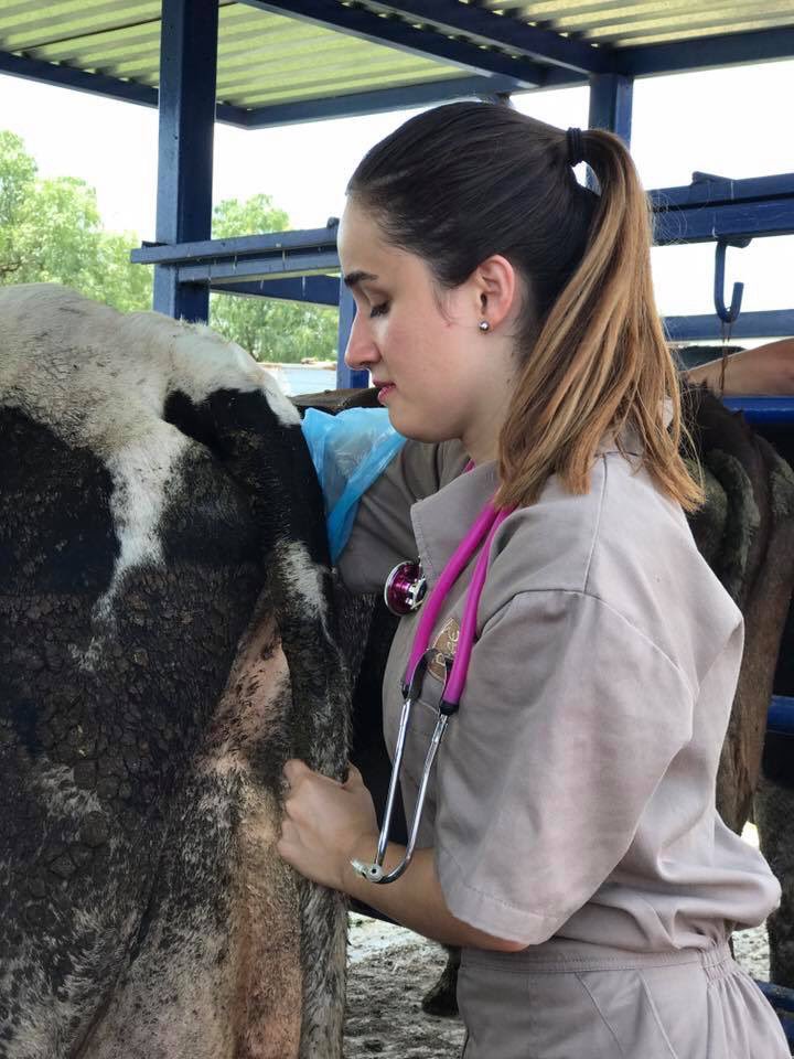 FerrLc's tweet image. Wow con lo 4x4 que soy, me amo bye