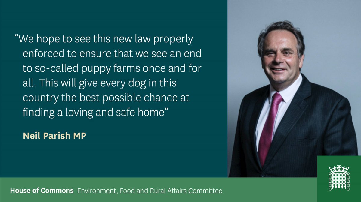 CommonsEFRA's tweet photo. In 2016 we recommended the ban of third party sales of dogs

We are therefore pleased to see @DefraGovUK's introduction of 'Lucy's Law' which will mean that puppies and kittens can no longer be sold by third party sellers

#LucysLaw 

https://t.co/S6Q5BdwPE0 https://t.co/emme0KY3z3