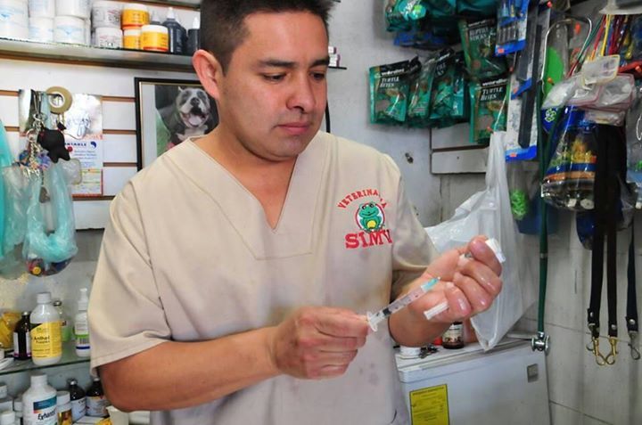 simvaveterinari's tweet photo. SimvaVeterinaria contamos la experiencia y el compromiso para sanar a tus mascotas Contáctanos al 464 1205380 https://t.co/bjInvSiOLl