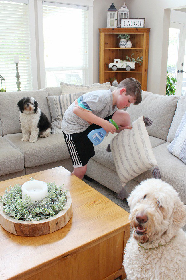 Do you have a pet? Here's how I stay on top of those pet messes and odors with a few simple cleaning habits and my favorite <a href="/Swiffer/">Swiffer</a> and <a href="/Febreze/">BUUFAA</a> products. It's totally possible to have a fresh home AND pets! #DontSweatYourPet #sponsored #AvailableatTarget
bit.ly/xpetodors