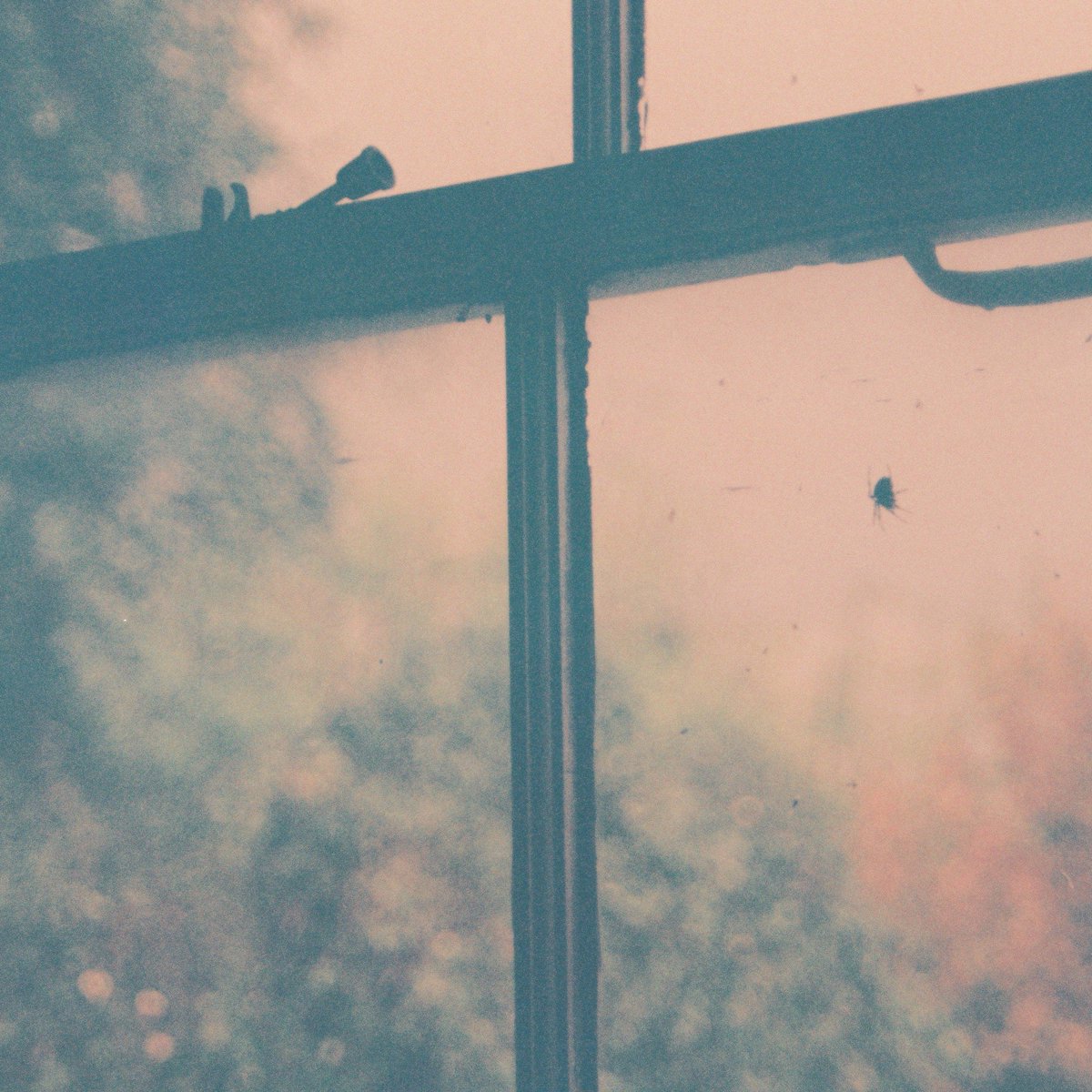 Kitchen Window - Friday