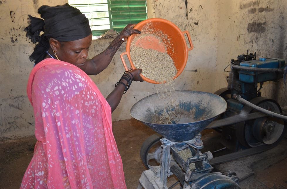 carecanada's tweet photo. "We are producing more bassi for our community. Our work has been so profitable, we were able to buy a cart to carry women to the village health center." โ Ramatou Hassane, President of Tamroro women's savings group #economicdevelopment #cdndev https://t.co/dwxCKC2VTB https://t.co/dqgOZGm2ee