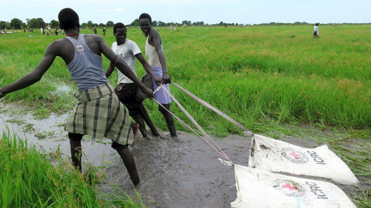 6 months’ delay in the transition to peace in South Sudan. While waiting for the political solution, conflict and meager harvest leave 6.5 Million people food-insecure (2 Million more than 2018). Red Cross distributes airdropped food in hard to reach areas #danskrodekors #dkaid