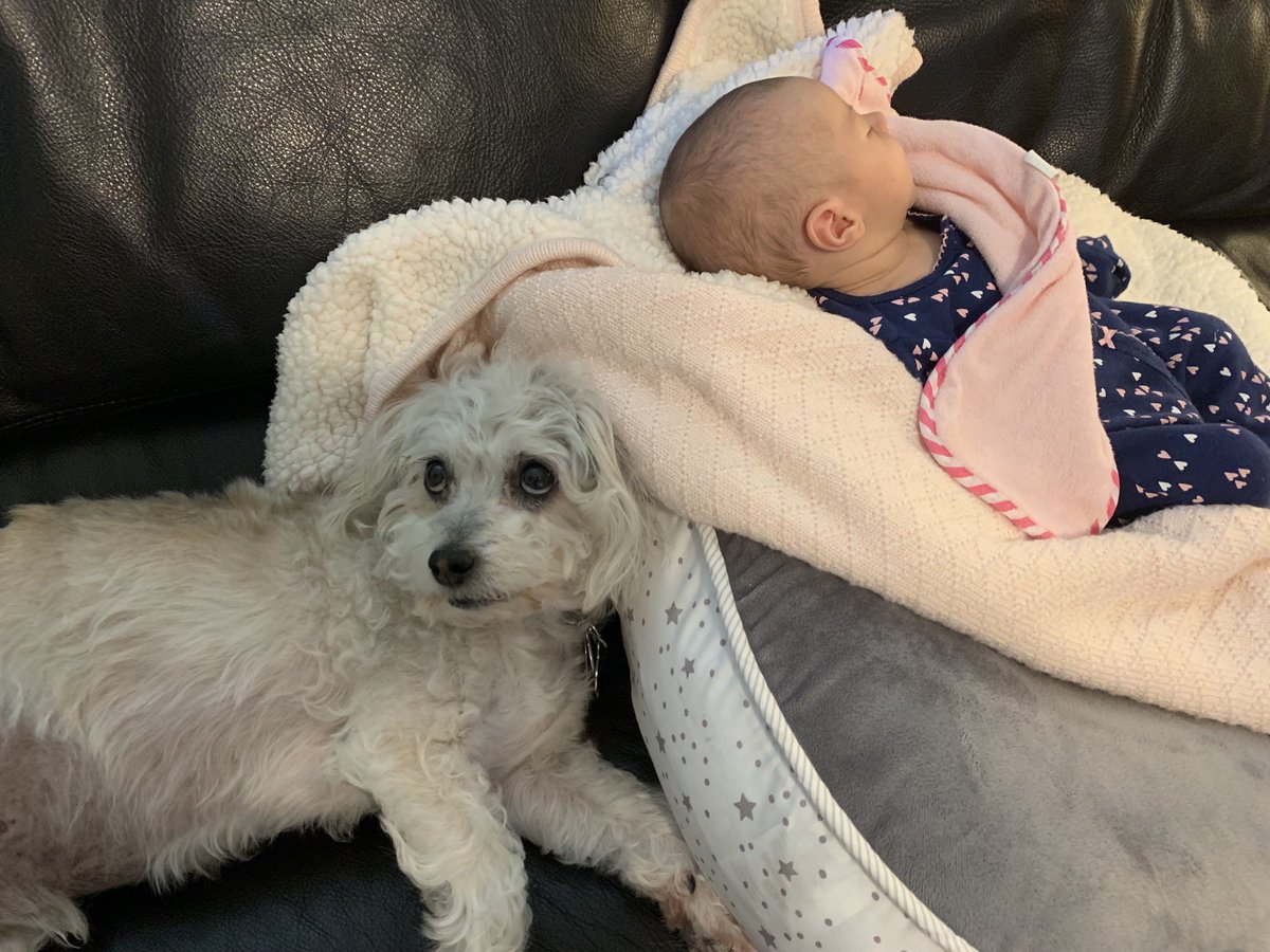 THIS MY SISTER. WE FRIENDS. GOOD SISTER. GOOD STANLEY.