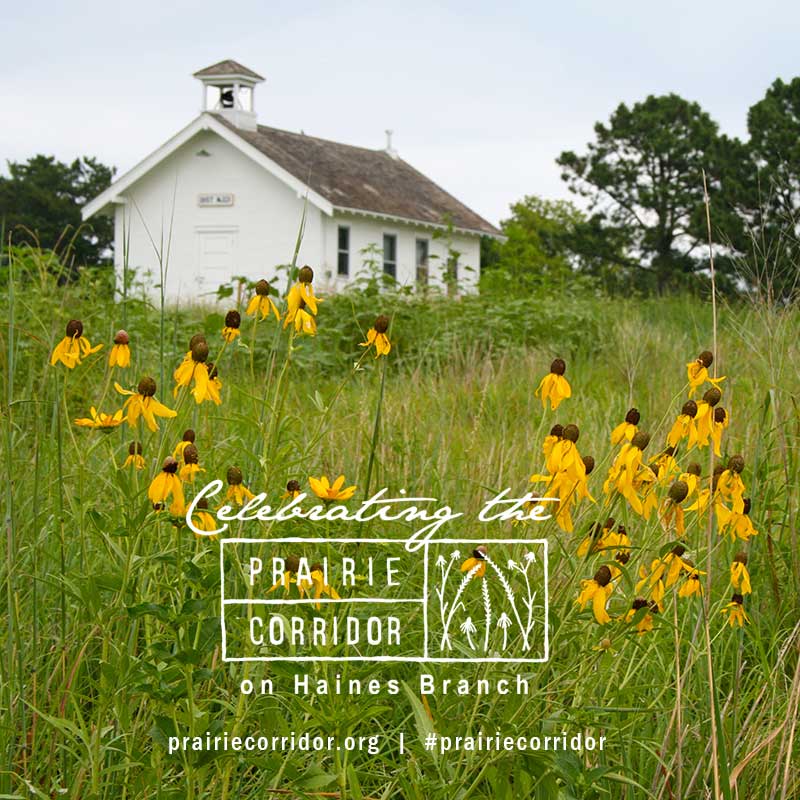 PrairieCorridr's tweet photo. Explore the historic landmarks of the tallgrass prairie by visiting Hudson Cabin and the Heritage School during our Prairie Corridor Celebration Event on May 14! Come see all the rich history in Lincoln’s tallgrass right on the edge of our community. #PrairieCorridor #LNK https://t.co/7gBlp60tQW