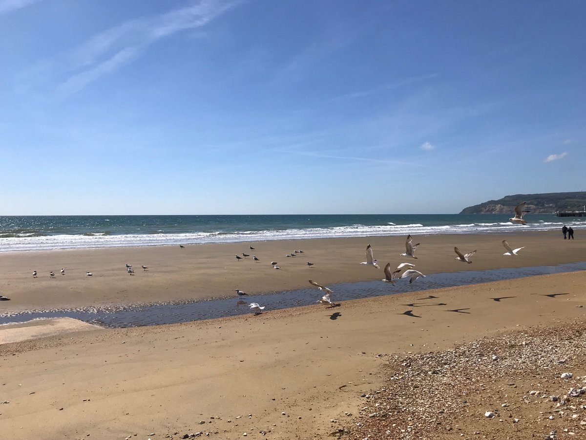 SiriusStar1963's tweet image. Monday Beach Walks #Sandown Warming Up For Thursday’s Robby’s Ramble #Shalfleet #IOW
