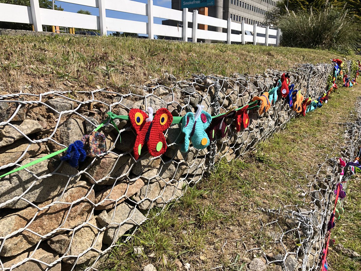 RCHT Palliative & End of Life Care Team tweet media