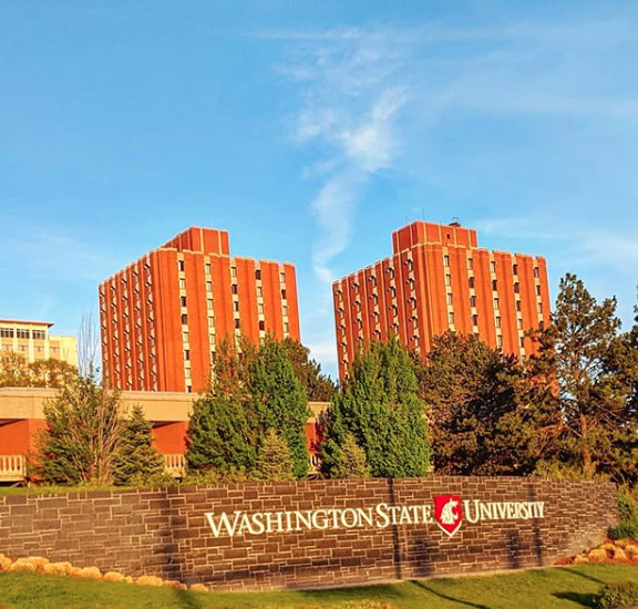 wsmagazine's tweet photo. Happy Monday from #WSUPullman. #itsabeautifuldayintheneighborhood #WSU #StadiumWay @WSUPullman https://t.co/ee9Qq7pjGV