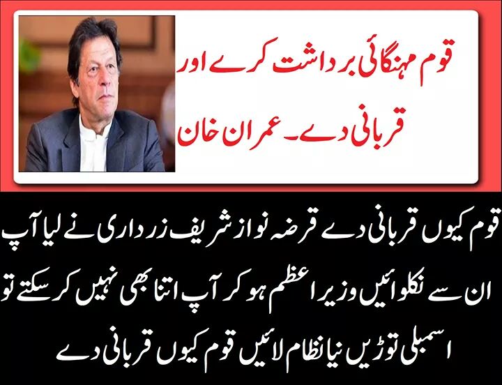 ShAbdullah480's tweet photo. @ZartajjGulWazir @ImranKhanPTI Khan sb choron se paisa niklwayen plz yahi moto tha apka aor hmara k kisi chor ko nhi chorna https://t.co/41l5Ti3bfl
