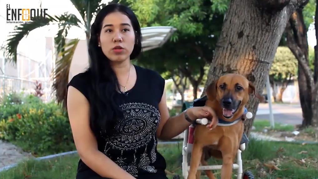 comunipaz's tweet photo. #Ayudauncanino
Esta es Lulú, quien fue víctima de una imprudencia de tránsito, lo que causo que perdiera la sensibilidad de sus dos patas traseras. Es aquí donde aparece Fabián Carrasquilla, creador de la CILLA DE RUEDAS CANINA.
PUBLICADO POR JHORDY LUNA
https://t.co/NRKCKahxgG https://t.co/7bdRZRiZbe