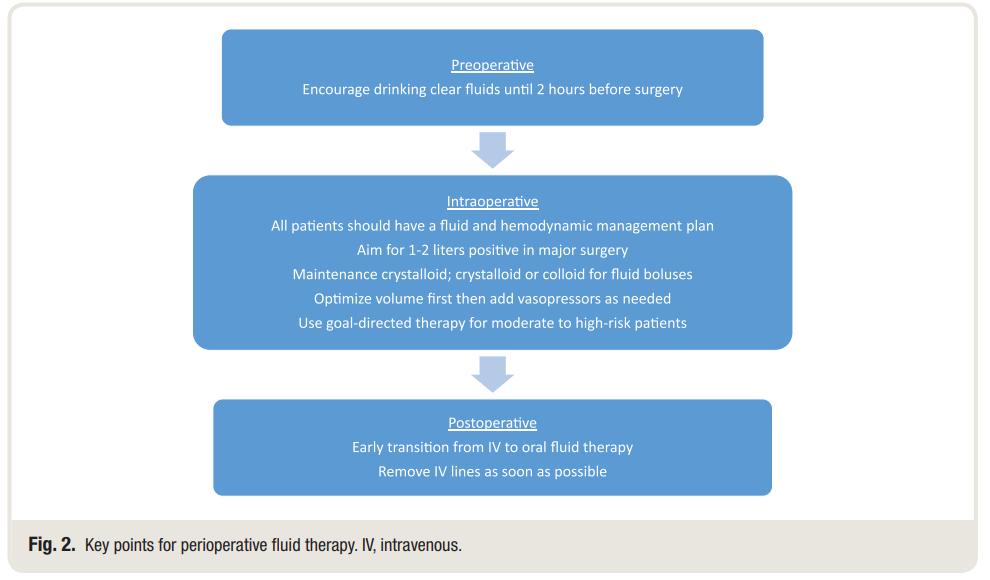 MayoAnesthesia's tweet image. Perioperative Fluid Therapy for Major Surgery
Clinical focused review
#FreeScience #SharingScience
@ALNanesthesia @MayoAnesRes 
bit.ly/2Yg5YiJ