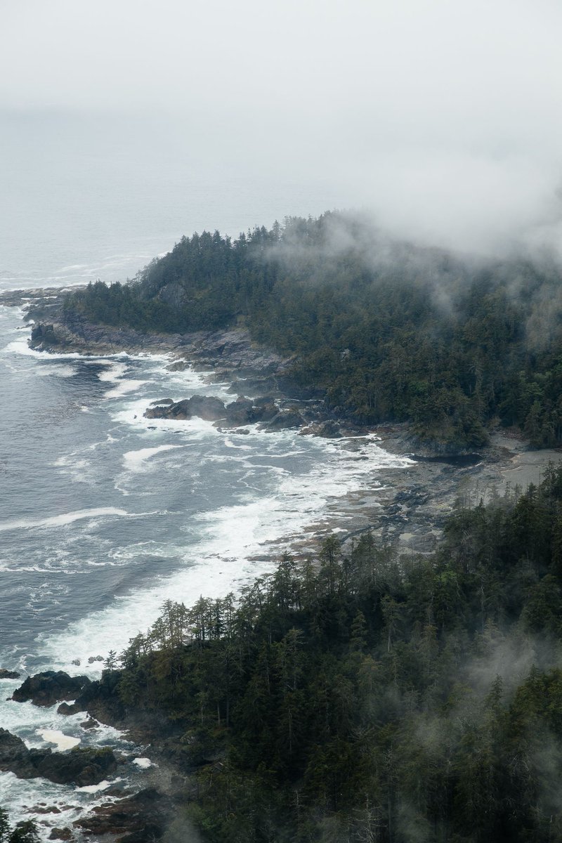 HAIDA WILD tweet media
