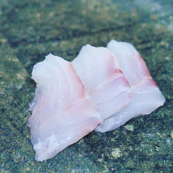 ハッカクの刺身 بحث في تويتر