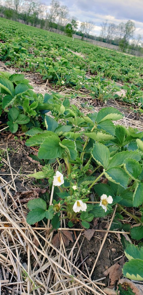 Stephanie Smith tweet media