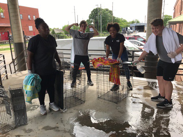 MsLucasLCB's tweet photo. More world changing by LCB sophomores!  The focus for this project?  Animals in need.  Funds raised and helping hands. . . Awesome!  @lcbirdprincipal, #OneCCPS, #betheU https://t.co/k4RL4NSpqb