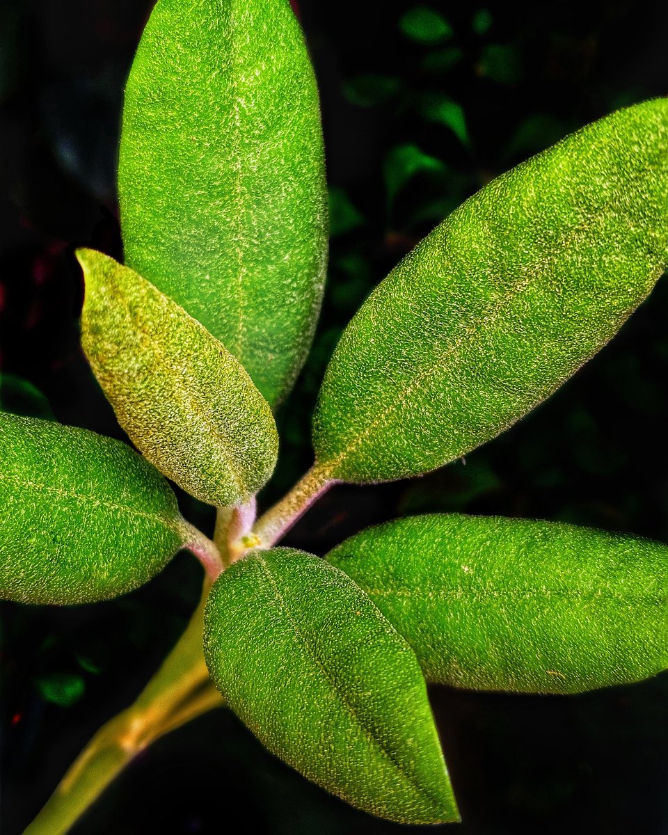 FlameGod_1's tweet photo. Come follow me on Instagram to see some photography 😁 https://t.co/bVpny5uu8V 
Here's a picture I took yesterday: https://t.co/B0hLYstc7o