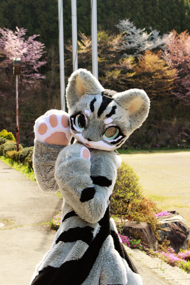 gomamon_ura's tweet photo. るかわんさんのアメ可愛いよね(*´ω｀*)

今年は長期間桜を満喫出来た気がする
#TDOS2019 https://t.co/3ykSQxtiH3