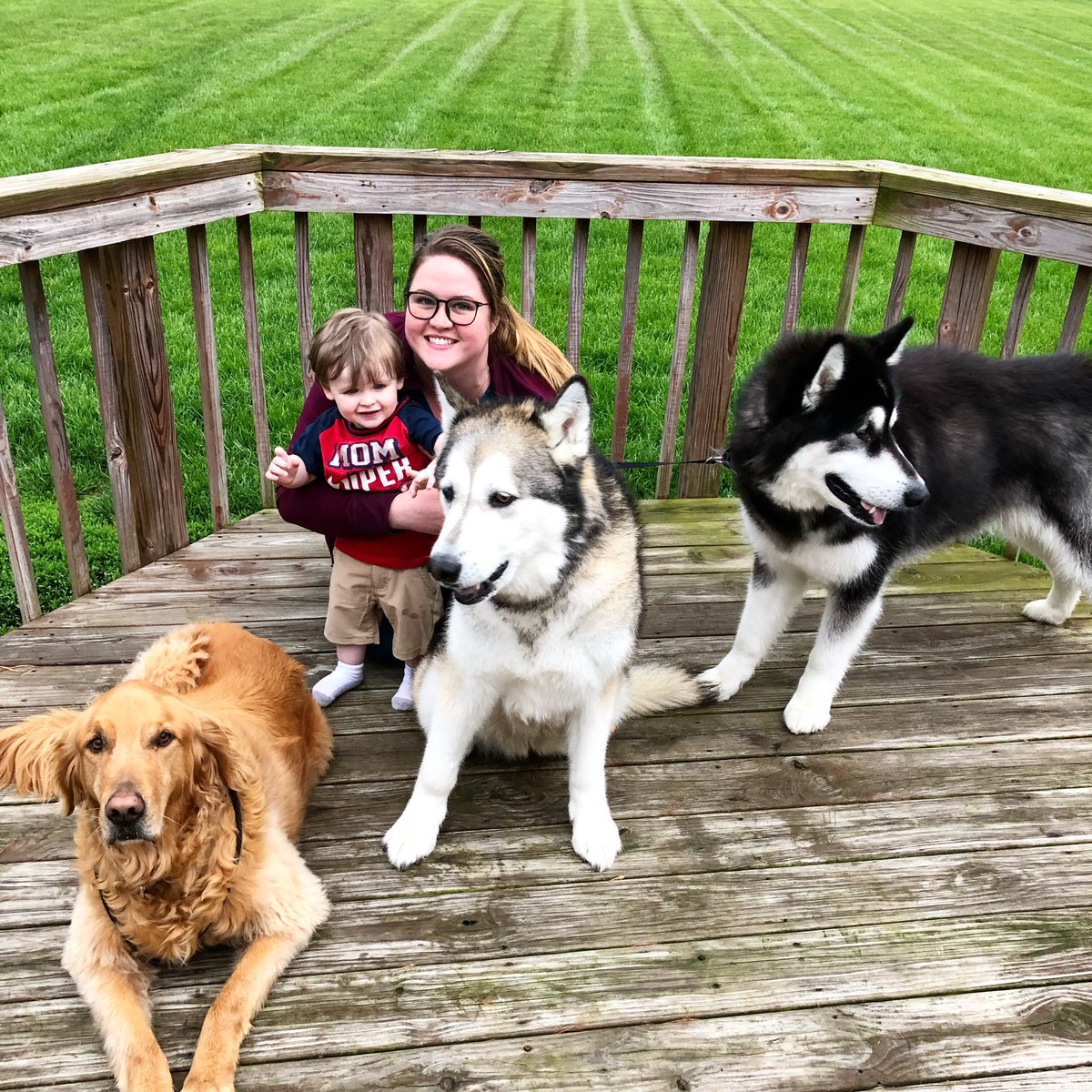 UrDogsThoughts's tweet photo. We had da bestest Mother’s Day yesterdayz! Hope you gave kisses to your dog mommaz! 

#UrDogsThoughts #DogsOfTwitter #Dogs #DogsLife #Puppy #PuppyLove #Dog #DogLovers #DogsAreFamily #DogMom #DogDad #MothersDay19 #MothersDay https://t.co/xg9CNa4xuj