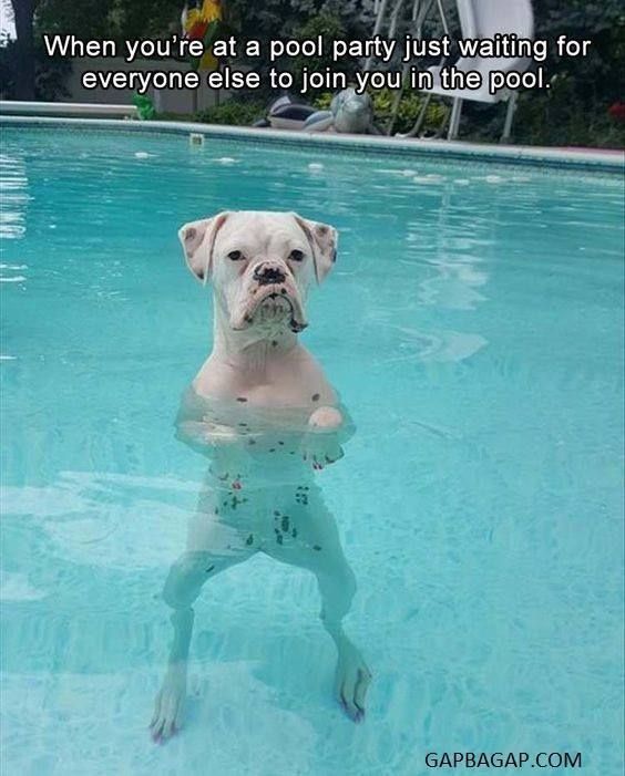 Thinking about your pool yet? Let us help you! 
greatlakesbiosystems.com/collections/po…