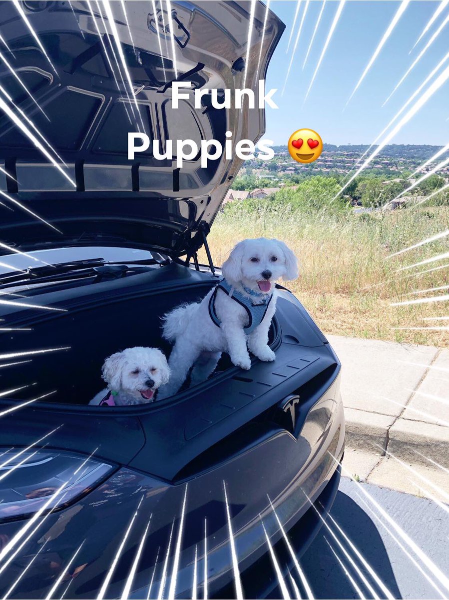 xpedia's tweet photo. My babies @28delayslater https://t.co/6GEdhErrjd