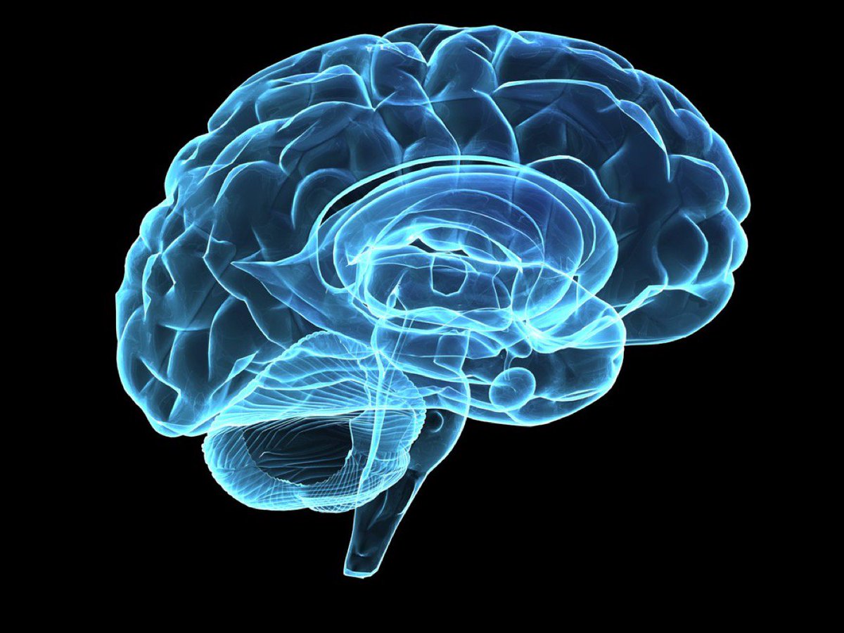 Igniteliv's tweet image. Welcome back to @Igniteliv number 38! Next up, @Dave_Coding is going to tell us how to "improve our memory to be like a memory champion." You can watch online at youtube.com/watch?v=Fji2ft…