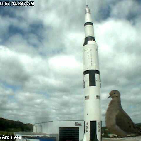 RocketCenterUSA's tweet photo. Today, our Security Team was surprised by a photo bomb in front of our #SaturnV camera! https://t.co/nBs90WmXt5
