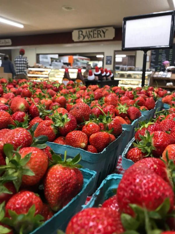 Duffield's Farm tweet media