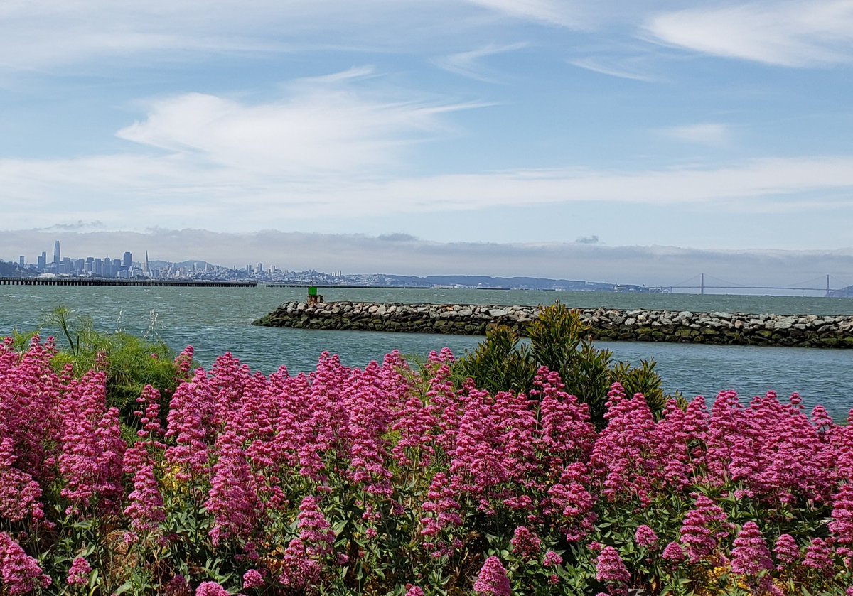 SparkPoint Solano tweet media