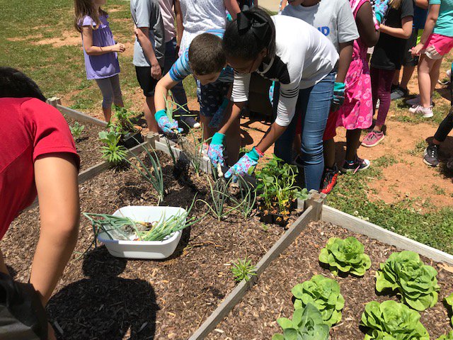 North Pointe Elem tweet media