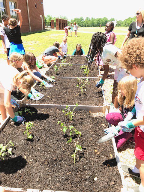 North Pointe Elem tweet media