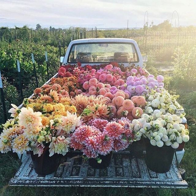 GypsetRose's tweet photo. Spring is in full bloom 💐 and all of our new looks have arrived ✨ Freshen up your closet with bright, bold, beautiful colors, romantic prints, and carefree styles. Tap the link in our bio to shop your favorite looks 🙌🏼
#shopgypsetrose #newarrivals
.
… https://t.co/uQmxYLmhSA https://t.co/cpzY7d5q0j
