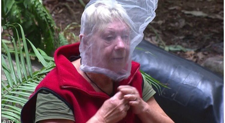 _melissaaaaaa__'s tweet photo. If any biology questions come up in my biology exam I’m screwed #gcsebiology #GCSEs2019 https://t.co/CB73lmUs9J