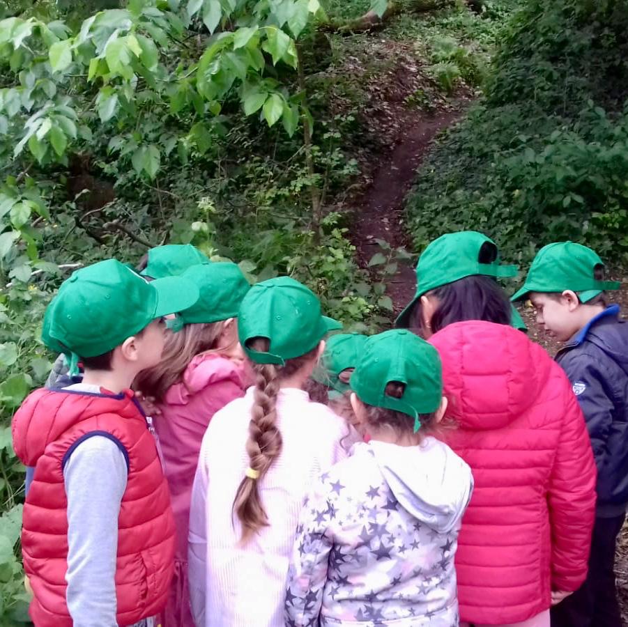 EnteRomaNatura's tweet photo. Bambini artisti per #natura! Conclusa oggi l'attività dei bambini della scuola elementare Baldi I.C. Capocci di Roma nel #PRUPineto guidati dai #Guardiaparco dell'Ente I bambini osservano, disegnano, colorano la natura, ogni creazione diventa un'opera d'arte! https://t.co/AmoDK2CRJ1