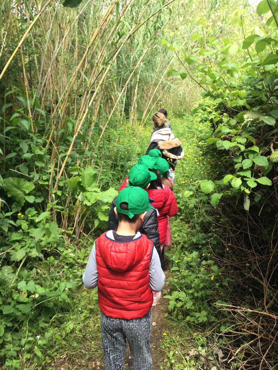 EnteRomaNatura's tweet photo. Bambini artisti per #natura! Conclusa oggi l'attività dei bambini della scuola elementare Baldi I.C. Capocci di Roma nel #PRUPineto guidati dai #Guardiaparco dell'Ente I bambini osservano, disegnano, colorano la natura, ogni creazione diventa un'opera d'arte! https://t.co/AmoDK2CRJ1