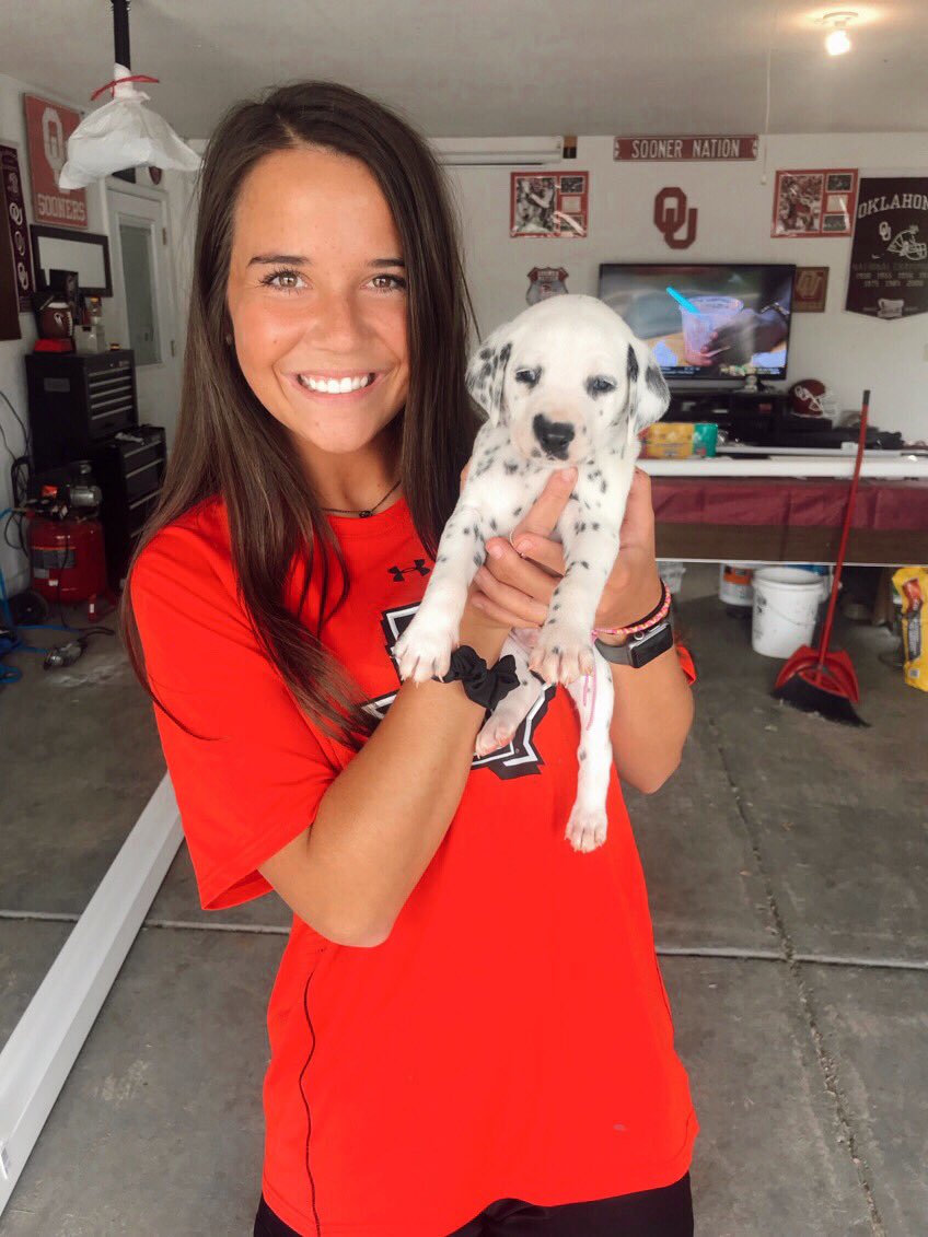 cmilllaa's tweet photo. UPDATE: y’all thought i was kidding, welcome to the fam Louie 😍 https://t.co/RZNdUKDfCx