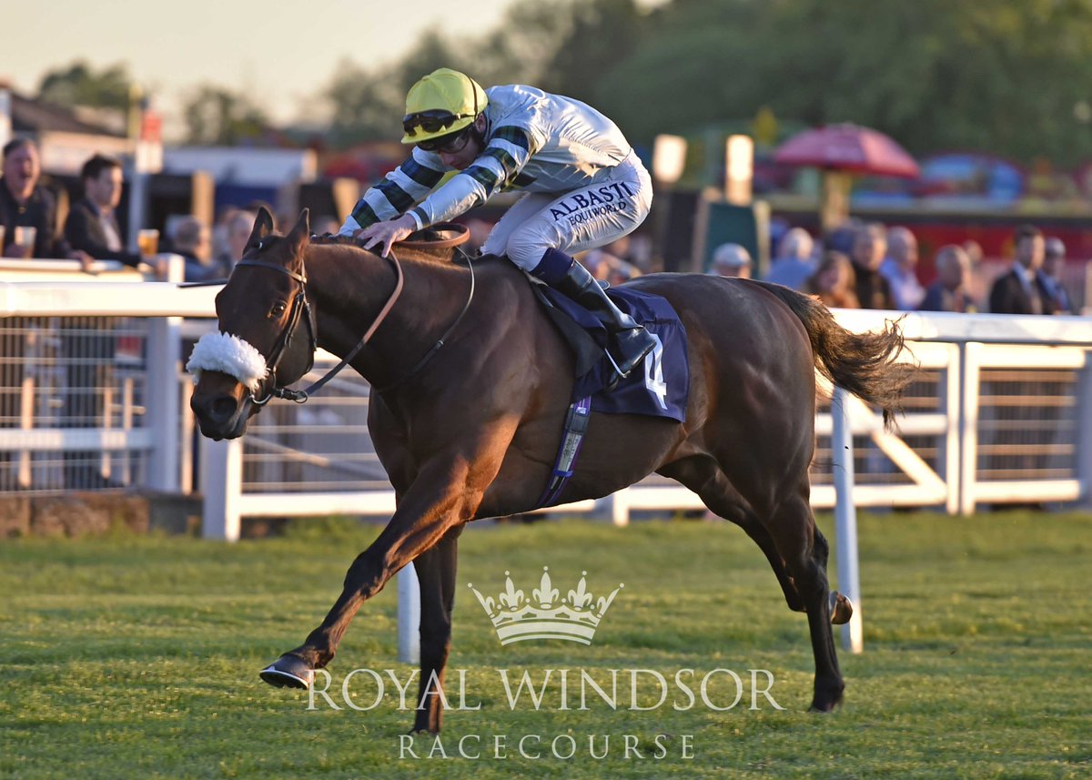 WindsorRaces's tweet image. SIMOON takes the 8.20 final race of this evening for #AndrewBalding and @oismurphy! Congratulations to all winning connections! #WindsorRaces #MondayNightRacing