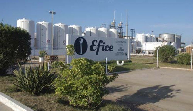 sudestada_uy's tweet photo. La solución inestable del "Chernóbil uruguayo"
A menos de un año de ser construido, el cerco para impedir el acceso de personas y animales a un área contaminada con #mercurio por la planta de #Efice estaba roto y vencido por las mareas
https://t.co/GkKPwRPcqR https://t.co/6DOqIqLDe9