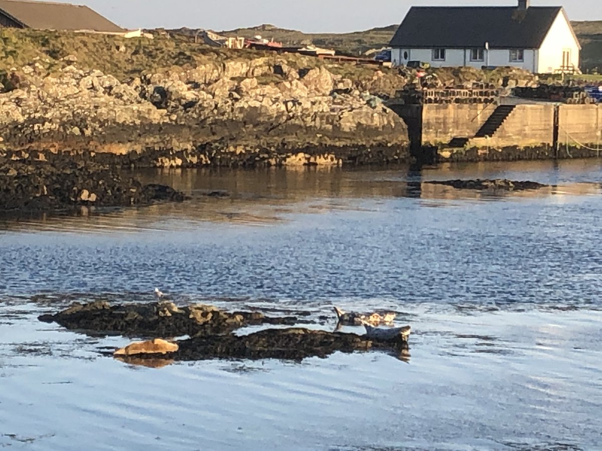 OrsayHouse's tweet photo. #postcardsfromportnahaven 
#islay #tighseinnse 
 #thisisscotland #thisisislay #argyllandbute #argyllsecretcoast  #islayblog #islayjura #ScotlandIsNow Today is a stay at home day, why would you want to stray too far from #portnahaven #MondayMotivation https://t.co/3rkcfQHXkV