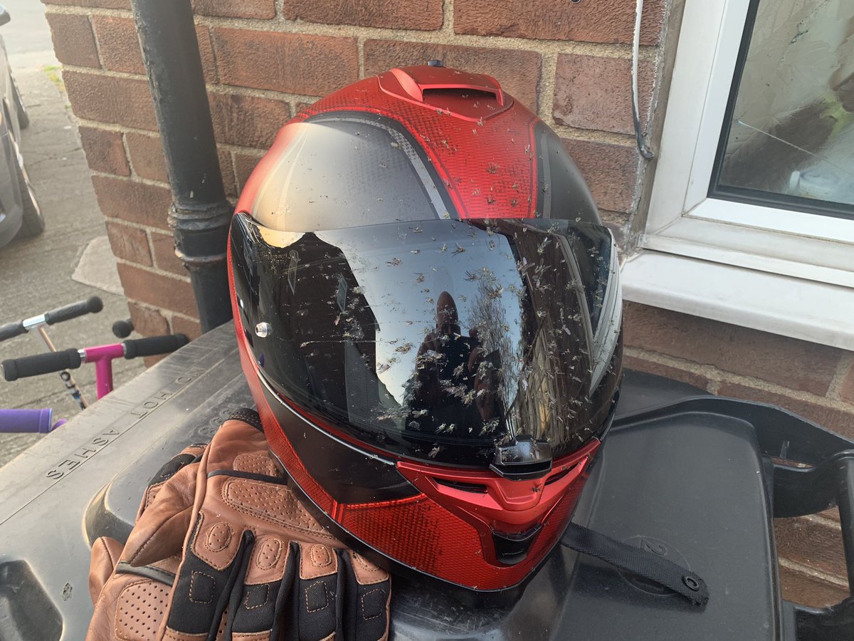 MrTwiggzz's tweet photo. Out for a ride on the yammy. 60 miles covered. Good fun apart from the damn flies. #bastardflies #flyingfuckers #deadpoollid #yamaha #fzs1000 #fazerthou #properfun https://t.co/FSNKAxjihu
