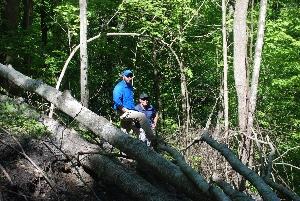 Virginia_Energy's tweet photo. Our team visits several sites every year to determine if they qualify for reclamation under our #AbandonedMineLand program. Here they are investigating to see if this landslide near Hurley was caused by historic mining. #ourworks https://t.co/HN6bn3JdHR
