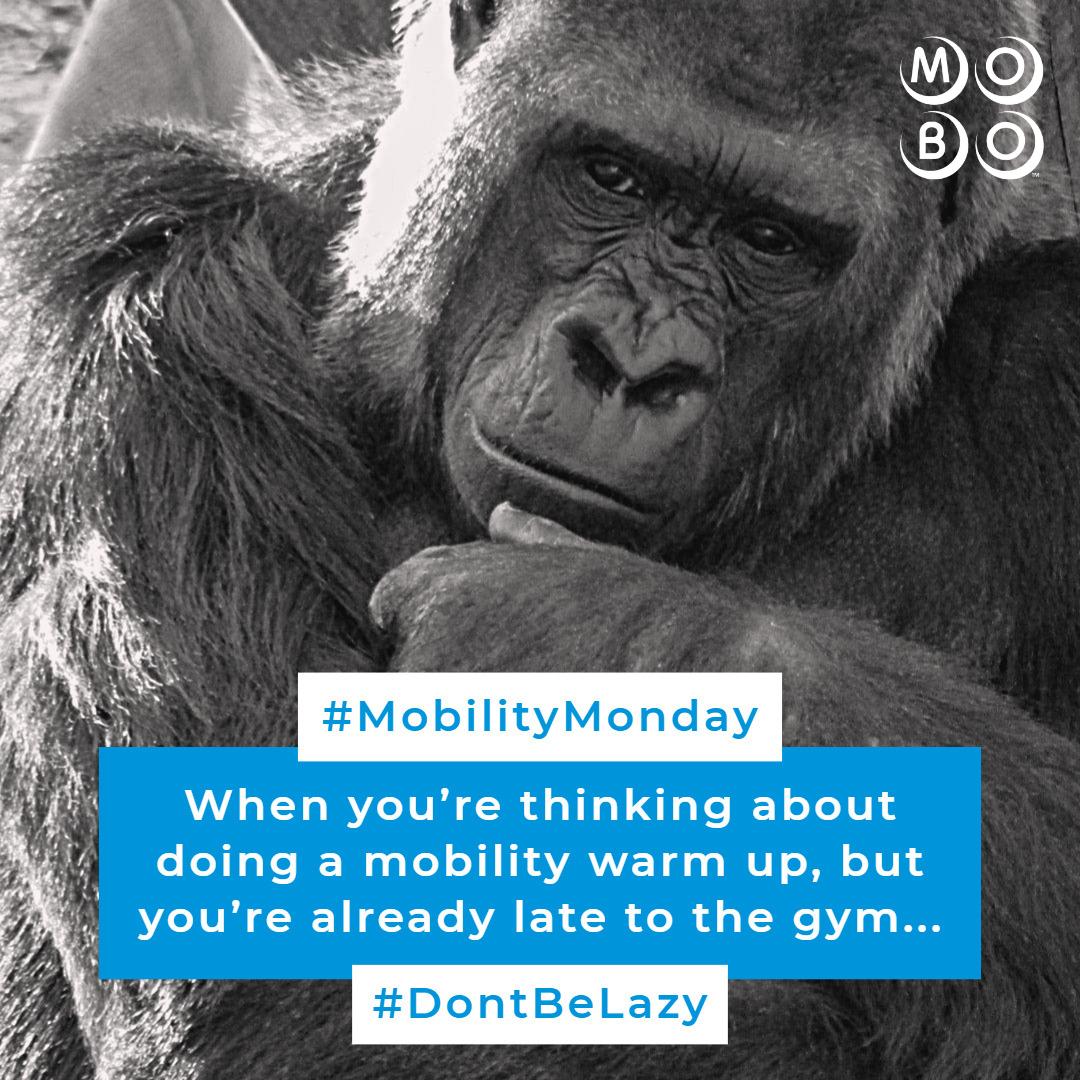 MOBO System On Twitter We Get It Doing mobilitywork Can Be Time mobo-system-on-twitter-we-get-it-doing-mobilitywork-can-be-time