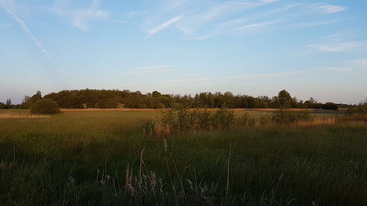 SJacobs_1's tweet photo. Afgelopen avond een interessante rondleiding gehad in het nog te ontwikkelen natuurgebied #Noordrandmidden tussen Etten-Leur en Prinsenbeek. Met dank aan @Brabant @staatsbosbeheer @brabantsedelta ! Meer weten? https://t.co/ED66PlZapm #gogreen https://t.co/DN1eMz3uxJ