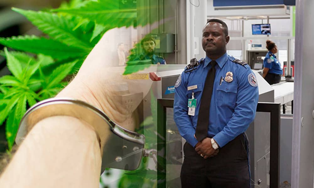 Cannabis Smuggling Arrests at LAX Up 166% Since Legalization weedlex.com/cannabis-smugg… #weedlex