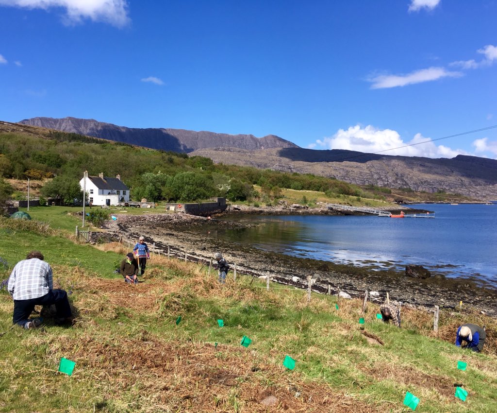 mudarrisa's tweet photo. Taking a closer look at the burial ground on Isle Martin. #archaeology #NOSAS #IsleMartin #westerross #crossslab #medieval #religious #burialground #scotland https://t.co/WA0TvMTvvQ