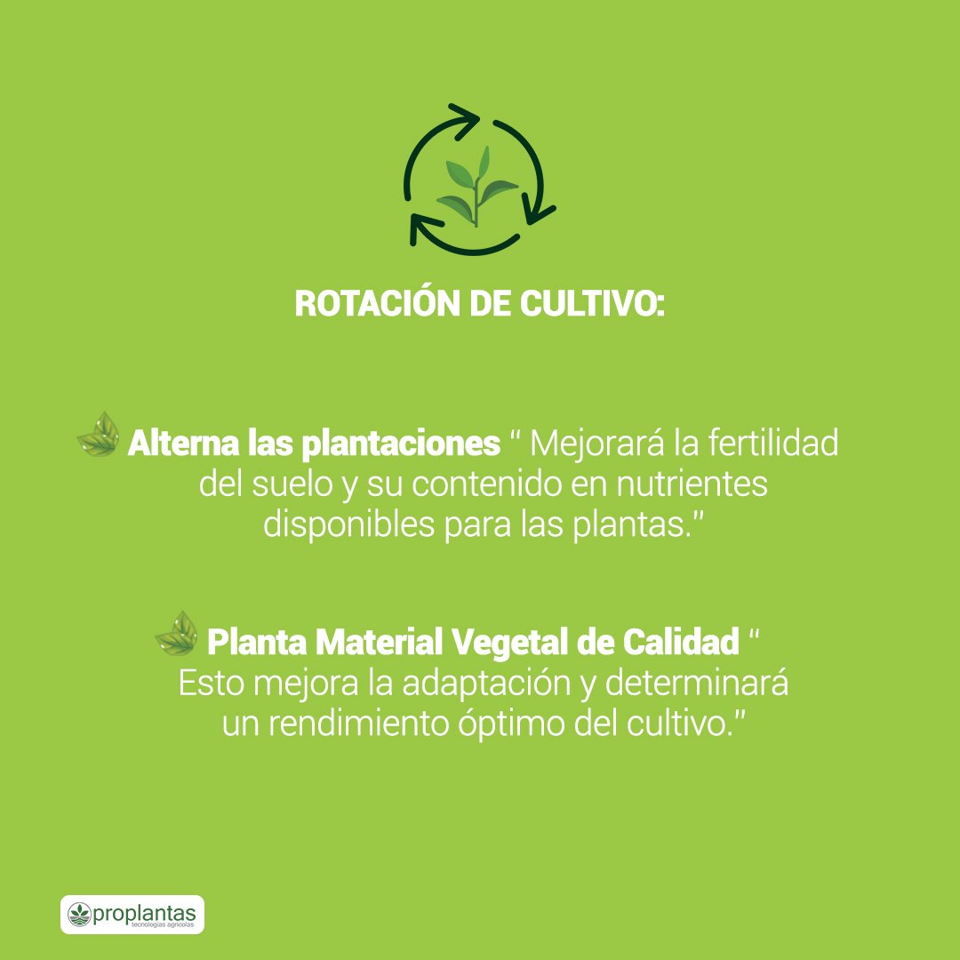 Proplantas tweet media